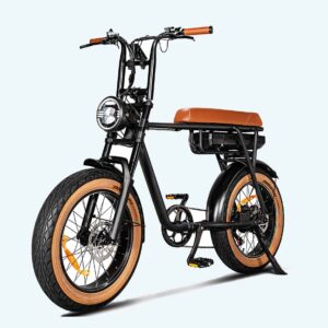 EB2 E-fatbike | 25km/h