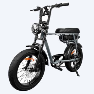 EB2 Pro E-fatbike | Italy Grey | 25km/h